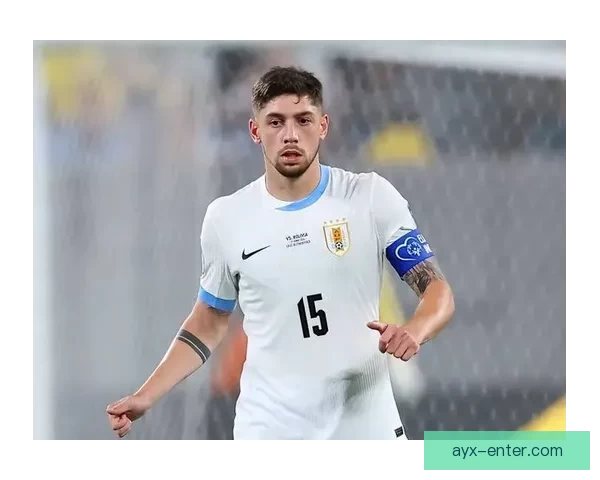 2026世界杯晋级球队全景解析豪强新势力与黑马格局终极展望